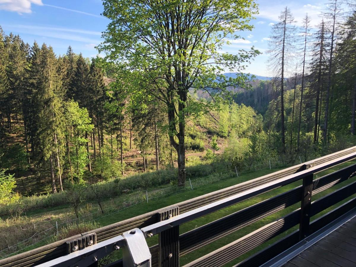 Fewo Nartura: Modern - Idyllisch - Stilvoll - Ruhig Sankt Andreasberg Exteriör bild
